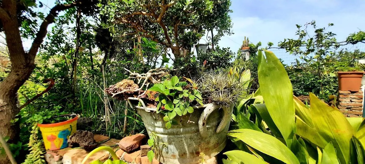 Sycylia - Approdo Sull'Etna Homestay Aci Catena