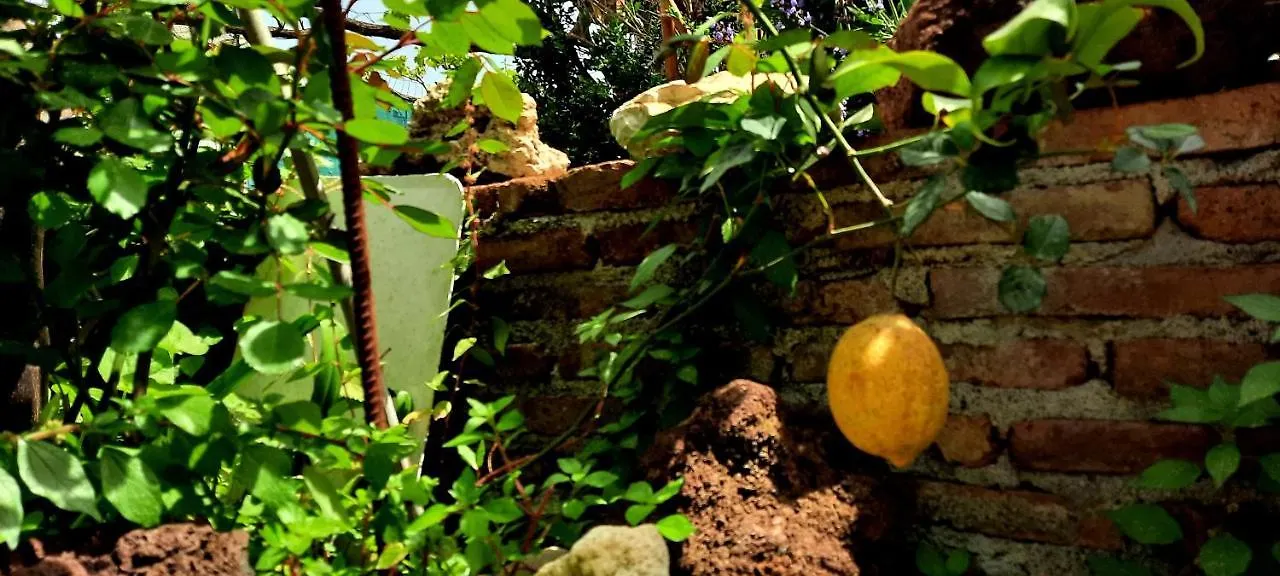 Homestay Sycylia - Approdo Sull'Etna