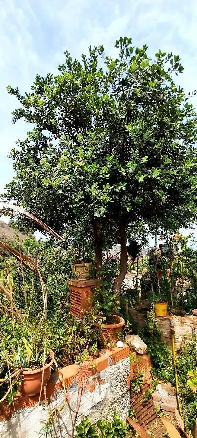 Homestay Sycylia - Approdo Sull'Etna Italy