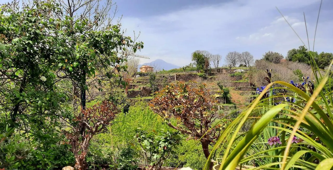 Sycylia - Approdo Sull'Etna