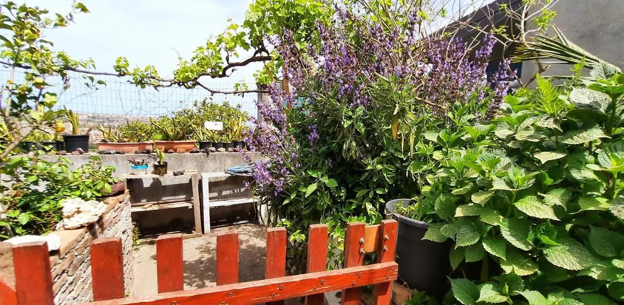 Homestay Sycylia - Approdo Sull'Etna Italy