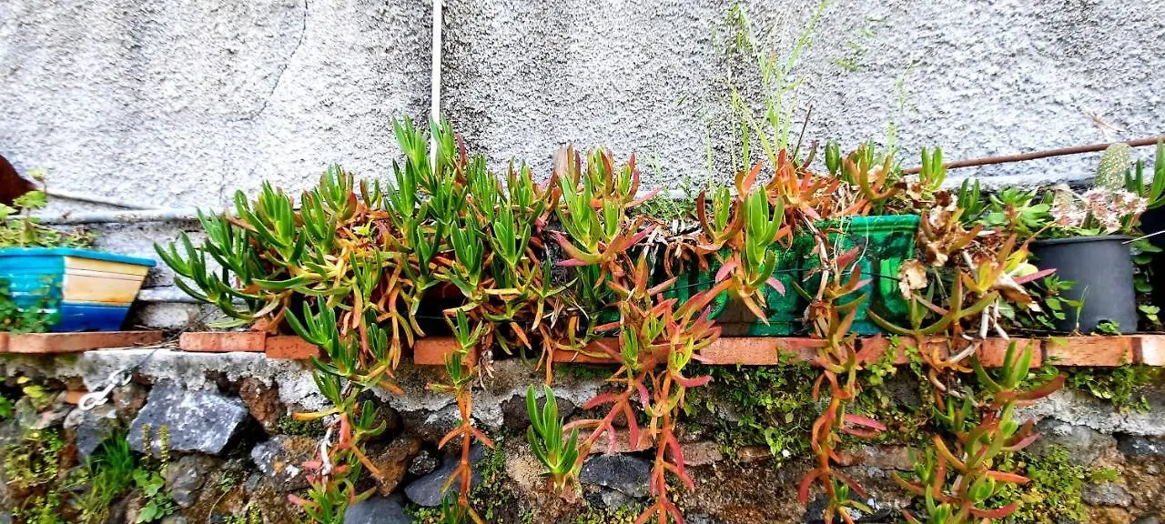 Homestay Sycylia - Approdo Sull'Etna Italy