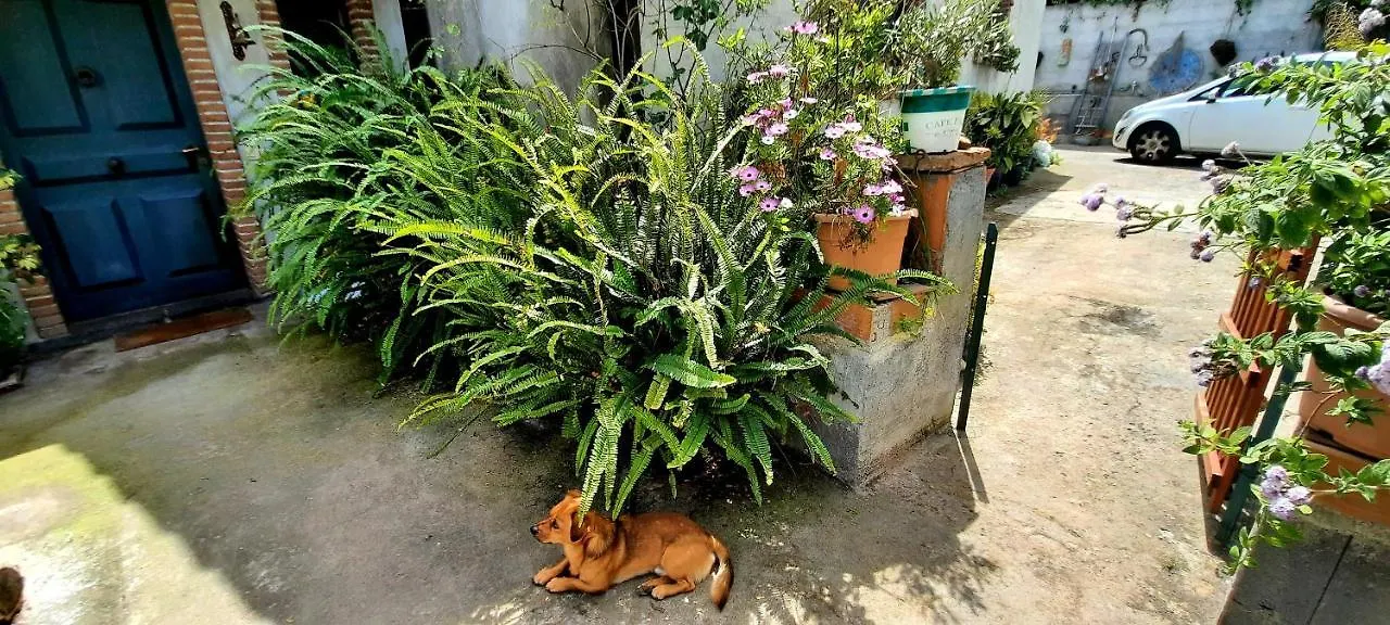 Sycylia - Approdo Sull'Etna Homestay