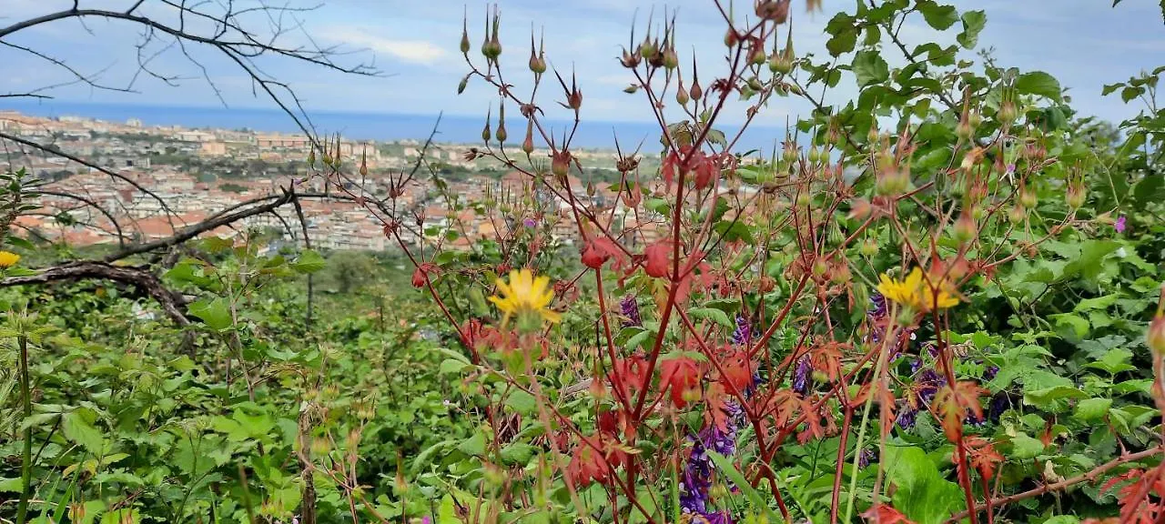 Sycylia - Approdo Sull'Etna
