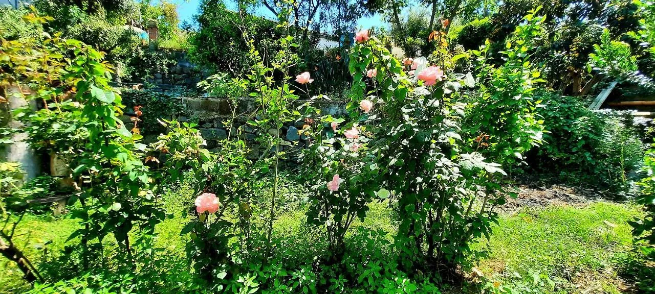 Sycylia - Approdo Sull'Etna Homestay Aci Catena