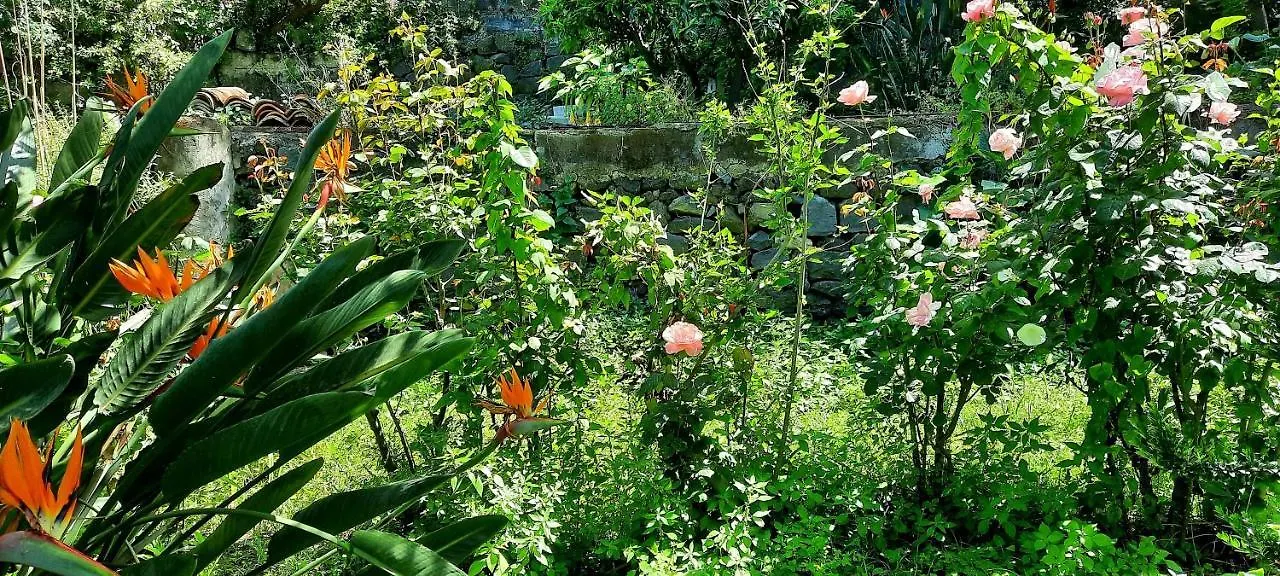 Homestay Sycylia - Approdo Sull'Etna