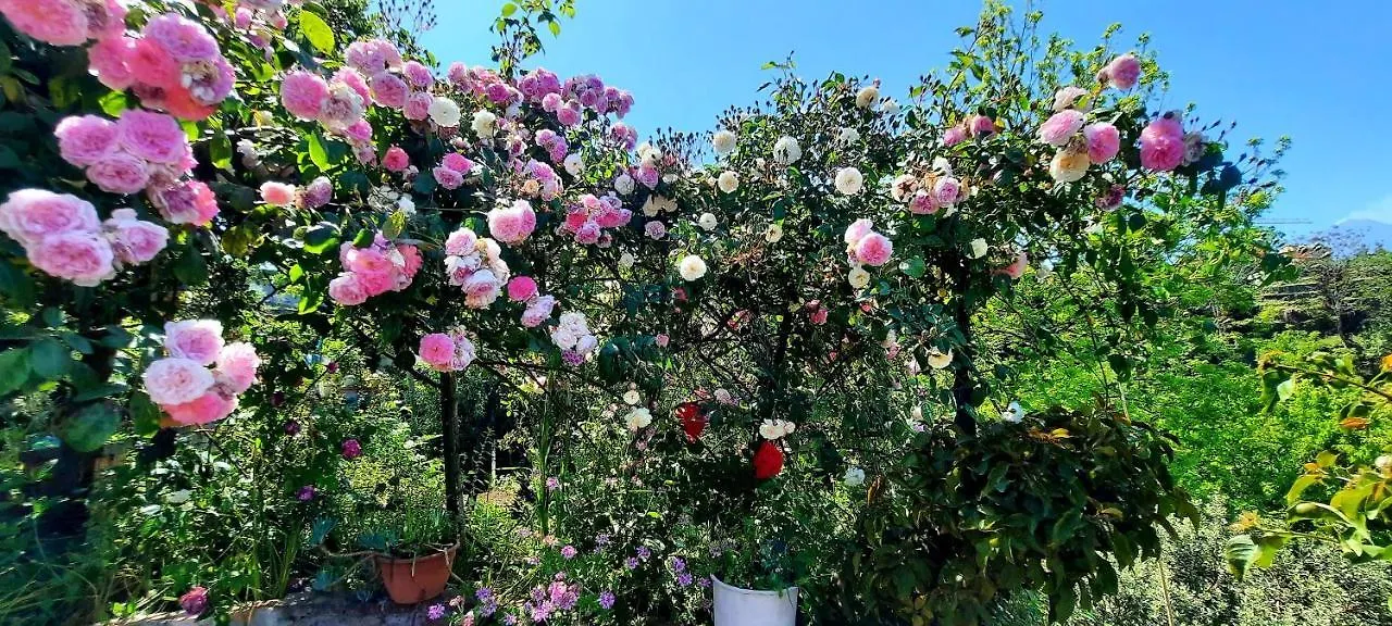Homestay Sycylia - Approdo Sull'Etna