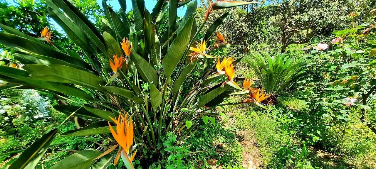 Sycylia - Approdo Sull'Etna Homestay Aci Catena