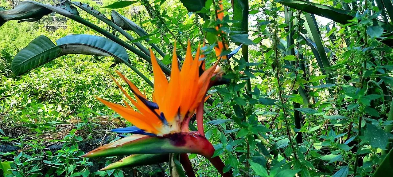 Sycylia - Approdo Sull'Etna Homestay