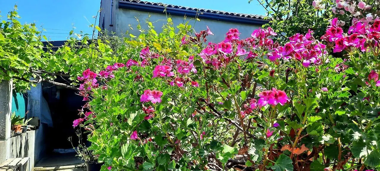 Homestay Sycylia - Approdo Sull'Etna